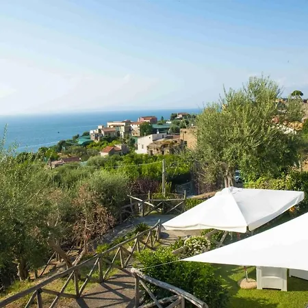 Il Sogno Di Zia Ada *